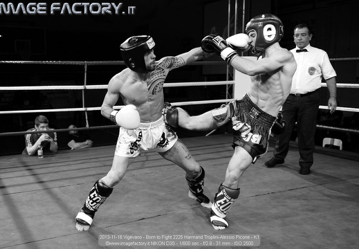 2013-11-16 Vigevano - Born to Fight